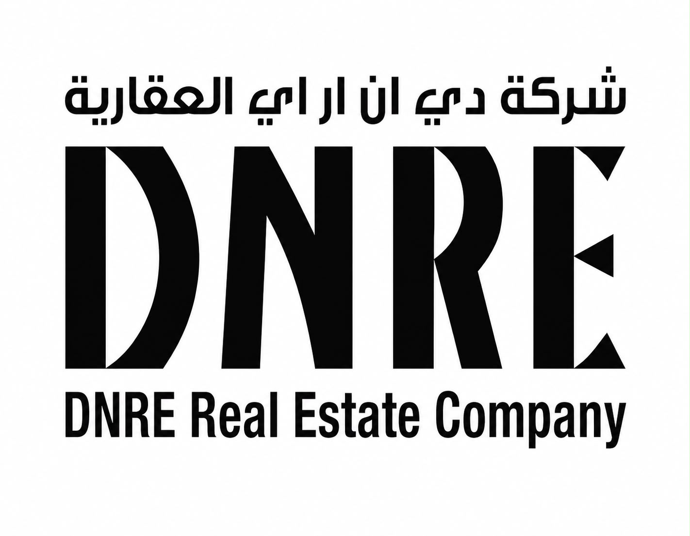 DNRE Real Estate Co. logo